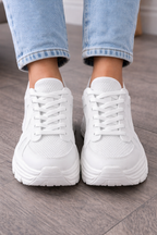 Sneaker Ale